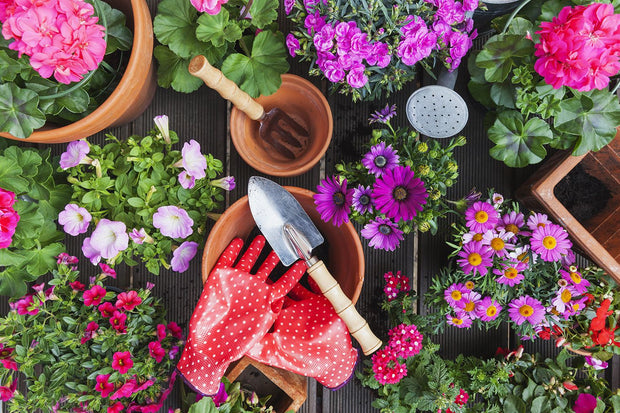 Banner image for: <h2>Discover Endless Options for Your Garden Oasis.</h2>