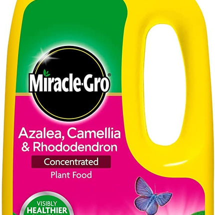 2 X Miracle-Gro Azalea, Camellia and Rhododendron Liquid Plant Food Bottle, 1 L