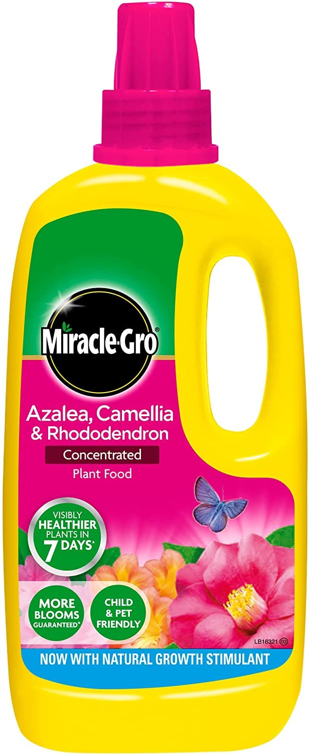 2 X Miracle-Gro Azalea, Camellia and Rhododendron Liquid Plant Food Bottle, 1 L