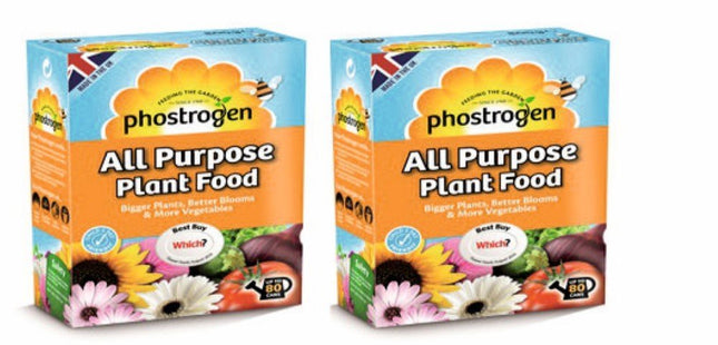 2 Packs of Phostrogen All Purpose Plant Food for Flowers Fruit Vegetables, 400g