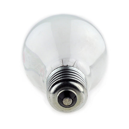 10 x 100W ES Pearl Edison Screw (E27) GLS Lamps Light Bulbs