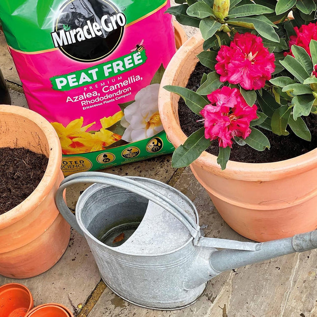 Miracle-Gro Peat Free Azalea Camellia Rhododendron Ericaceous Potting Compost 10L Bag