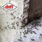 Doff Ant & Crawling Insect & Germ Killer 1L