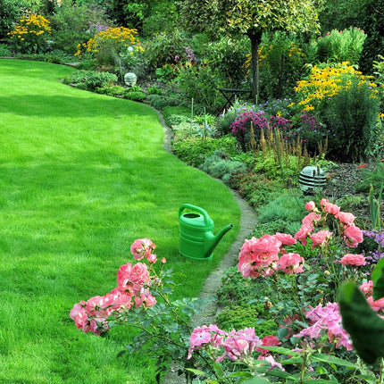DOFF Multipurpose Lawn Seed 1KG
