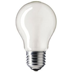 60W ES GLS Rough service Bulb 10 Pack