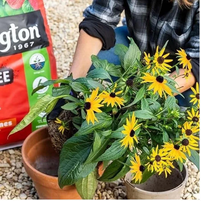 Levington Peat Free Multi-Purpose Compost - 10L