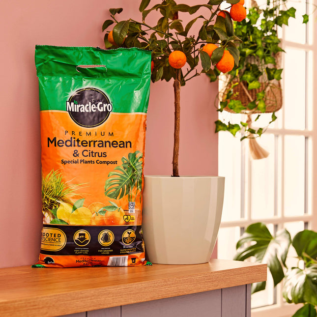 Miracle-Gro 119784 Premium Mediterranean & Citrus Compost - 6 Litre Bag, (New 2020 Range), Orange