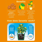 Westland Peat Free Citrus Potting Compost Mix 8L