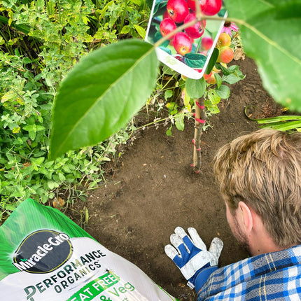 Miracle-Gro 121060 Performance Organics Fruit and Veg PEAT FREE Compost, 40L, White