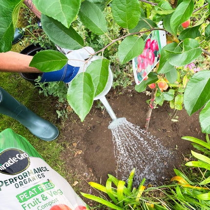Miracle-Gro 121060 Performance Organics Fruit and Veg PEAT FREE Compost, 40L, White
