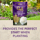 Vitax Q4 Rootmore, Mycorrhizal Fungi, Stimulates Root Growth, Suitable for Flowers, Shrubs and Edibles, Certified Organic by of&G - 250G