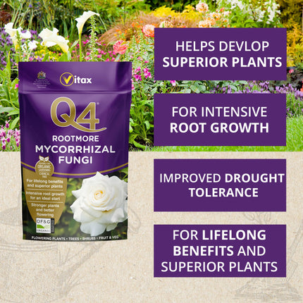 Vitax Q4 Rootmore, Mycorrhizal Fungi, Stimulates Root Growth, Suitable for Flowers, Shrubs and Edibles, Certified Organic by of&G - 250G