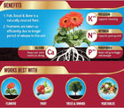 PMB Westland Fish, Blood and Bone All Purpose Plant Food 8 kg