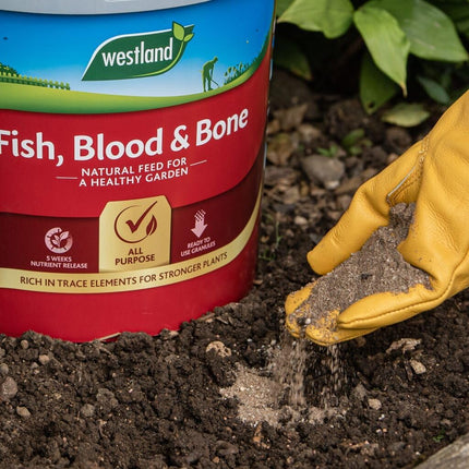 PMB Westland Fish, Blood and Bone All Purpose Plant Food 8 kg