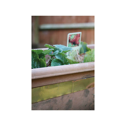 Rentokil R.KIL SLUG&SNAIL BARRIER TAPE 4M