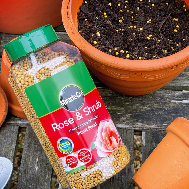 Miracle-Gro Rose & Shrub Continuous Release Plant Food 1 kg