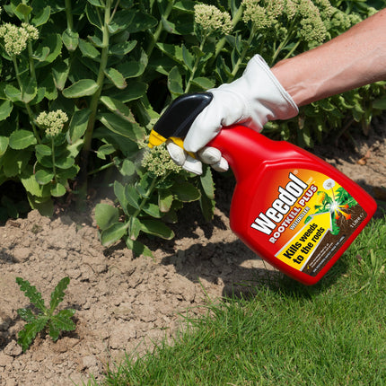 Weedol Rootkill Plus Weedkiller, Spray, 1 Litre