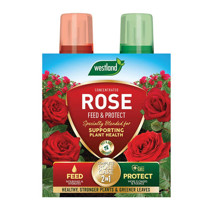 Westland Horticulture 20100417 Rose Feed & Protect Concentrates 2 in 1 (2x500ML)