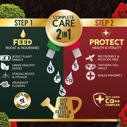 Westland Buxus Feed & Protect Concentrates 2 in 1 (2 x 500 ml)