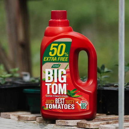 Big Tom Super Tomato Food 1.25L +50% Extra Free | 1.9L | westland