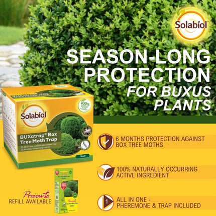 Solabiol Buxatrap Box Tree Moth Trap - Reusable Box - Tree Moth Biological Protection Trap - with Refillable 3 Month Pheromone Solution - Bux Protector Against Moths - Covers 180 SqM, Yellow