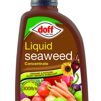 doff CONCENTRATED LIQUID SEAWEED 1L, Green