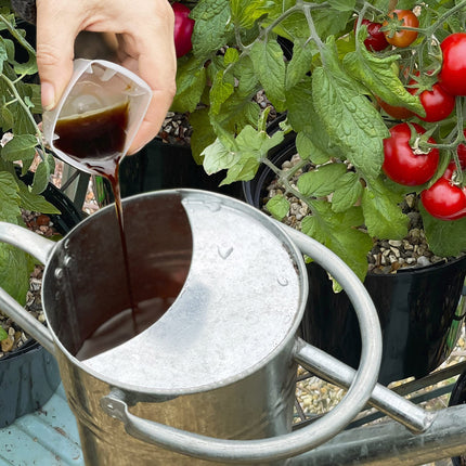 Miracle-Gro Levington Tomorite Pour and Feed Liquid Tomato Food, 2.5L