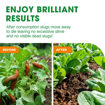 Doff Slug & Snail Killer - 400g Slug Pellets for Garden - Ferric Phosphate Slug and Snail Pellets - Long Lasting Pest Control In Damp Conditions for Up to 14 Days - Crop Friendly