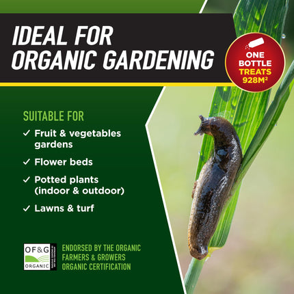 Doff Power Up Slug & Snail Killer - 3X More Powerful, 3X More Coverage Slug Pellets for Gardens & Homes - Rainproof & Fast-Acting Slug & Snail Control, 650g