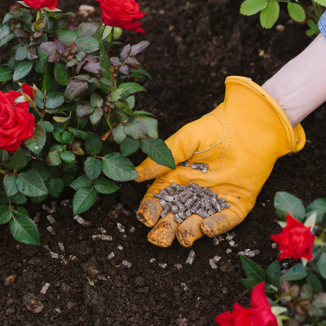 Westland Horse Manure and Plant Stimulant Enriched Rose Food, 3 kg