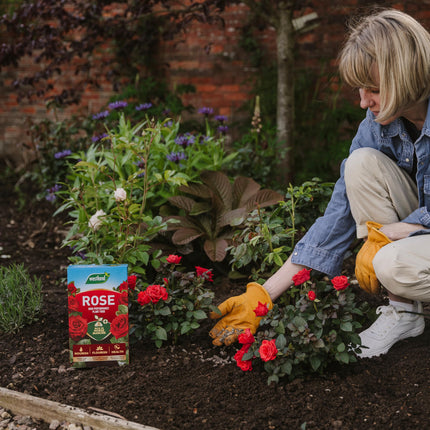 Westland Horse Manure and Plant Stimulant Enriched Rose Food, 3 kg