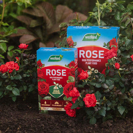 Westland Horse Manure and Plant Stimulant Enriched Rose Food, 3 kg