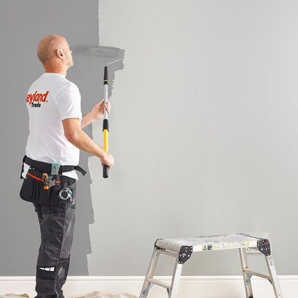 Leyland Trade - Multi-Surface Paint - Suitable For 8 Different Surfaces - Grey - 750ml