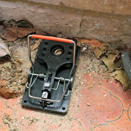 Rentokil FR51 Advanced Rat Trap Twin Pack