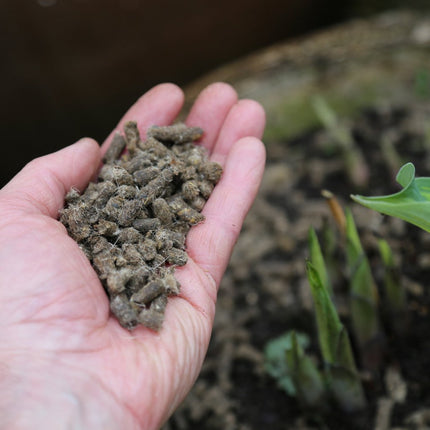 Vitax Slug Gone Wool Pellets, Natural, Organic Barrier To Protect Borders, Pots & Containers From Slugs And Snails, Long Lasting - 10L