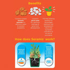 Westland Peat Free Cacti and Succulent Potting Compost Mix 4L, Brown