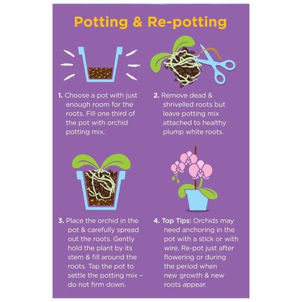 Westland Orchid Potting Mix 8L