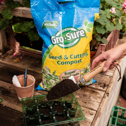 Gro-Sure Westland Seed & Cutting Compost Bale - 20L (