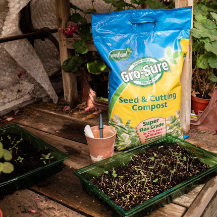 Gro-Sure Westland Seed & Cutting Compost Bale - 20L (