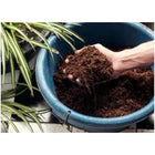 Miracle-Gro Peat-Free Premium Mediterranean & Citrus Plant Compost, 10L