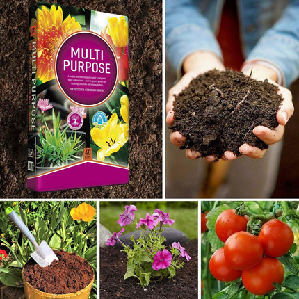 GROWMOOR 5 Litre Multi Purpose Compost Bag with Added Nutrients (1 Bag)
