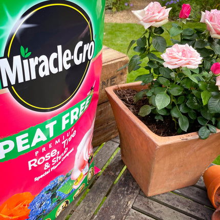 Miracle-Gro PEAT FREE Premium Rose, Tree & Shrub Compost, 40 Litres