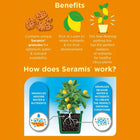 Westland Peat Free Citrus Potting Compost Mix 8L