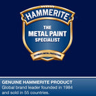Hammerite 5092819 6100244 90ml Kurust