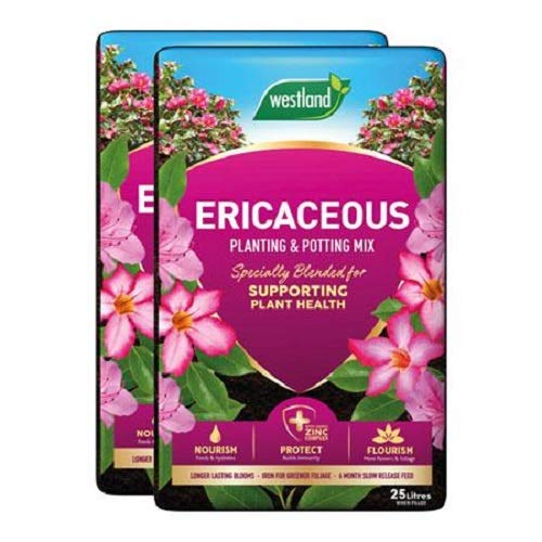 Westland Ericaceous Planting & Compost Potting Mix 25 Litre