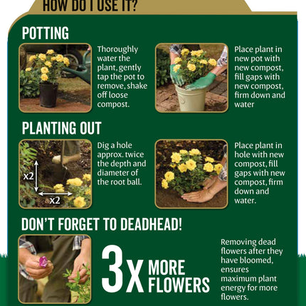 Westland John Innes Peat Free No 3 Mature Plant Compost 10L