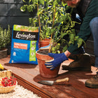 Levington John Innes No.3 30 litres - Mature Plant Compost
