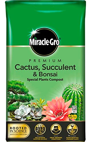 Miracle Gro Cactus Compost 6L