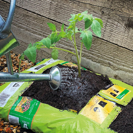 Miracle-Gro PEAT FREE Premium Fruit & Vegetable Compost, 42 Litres