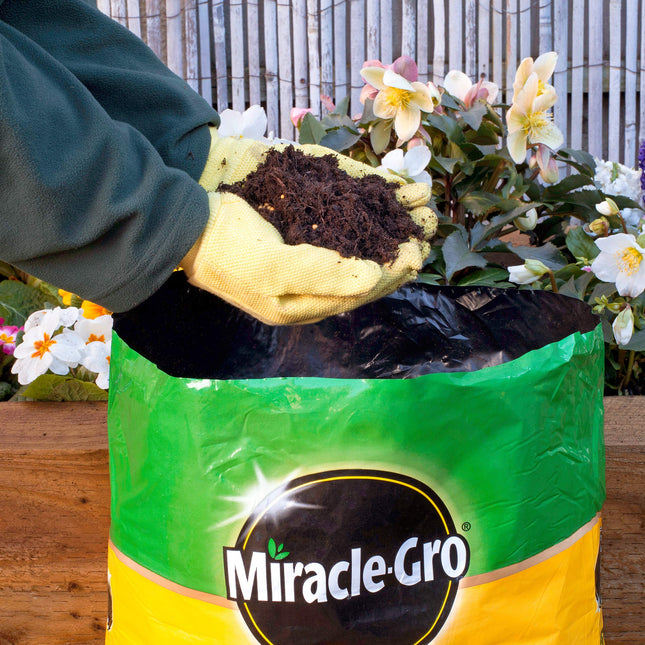 Miracle-Gro All Purpose Compost - 20 Litre BALE, (New 2021 Range)